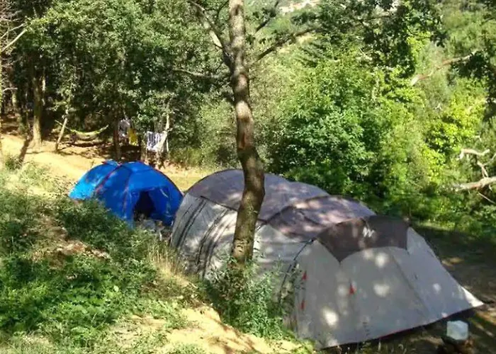 Κάμπινγκ 6 Personnes Avec Terrasse - Api-1-52-233